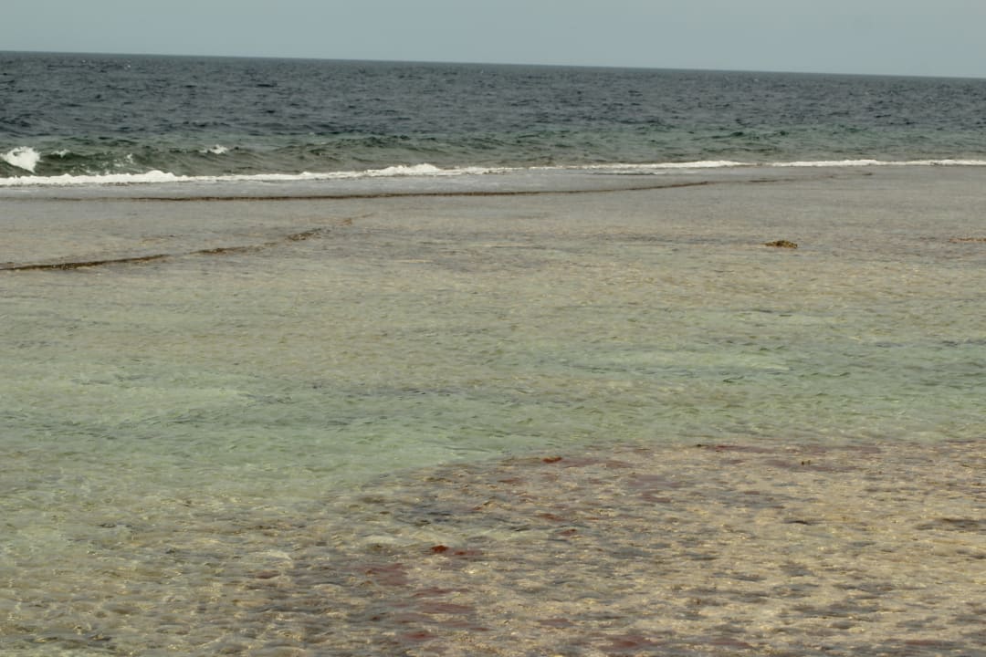 Strand Steigenberger Coraya Beach - Adults only