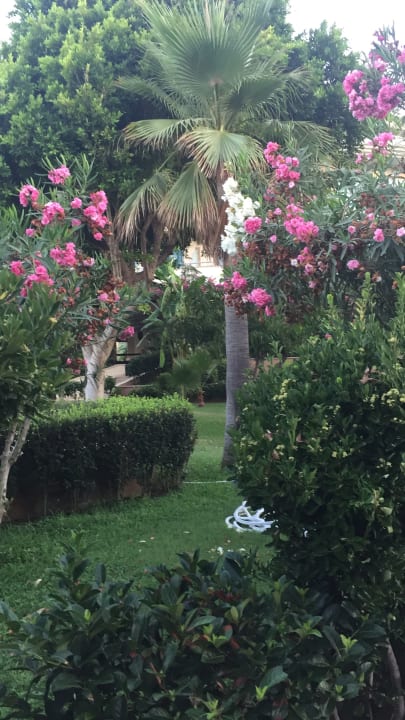 Gartenanlage Saphir Hotel & Villas