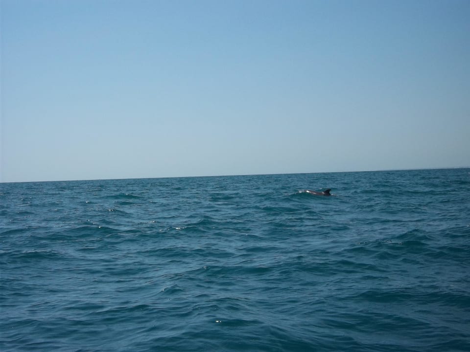 Auf dem Weg zum Kastell Hotel El Mouradi Djerba Menzel