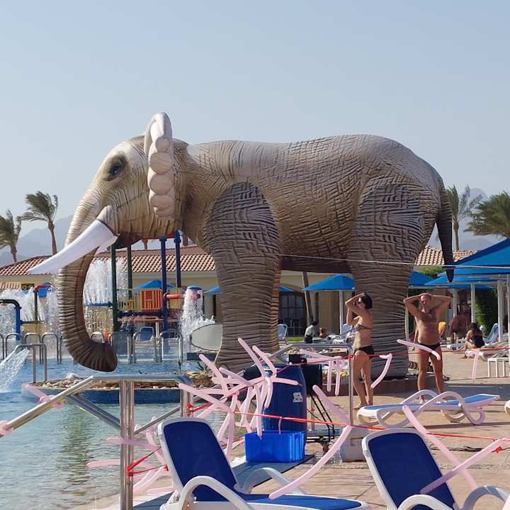 Pool Pickalbatros Golf Beach Resort