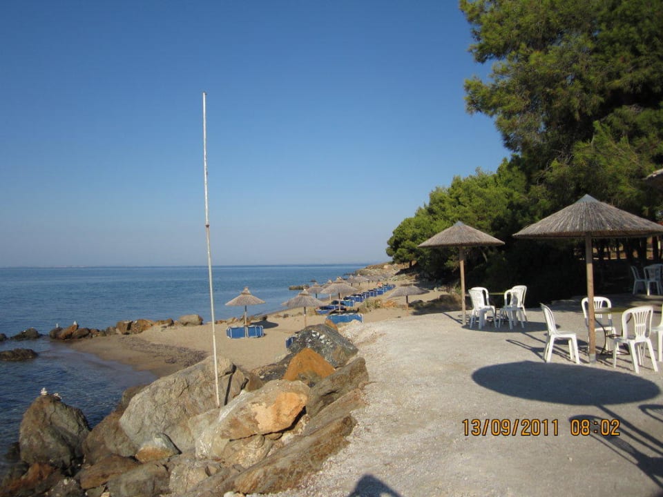 Beach-Terrasse Blue Dolphin Resort Hotel