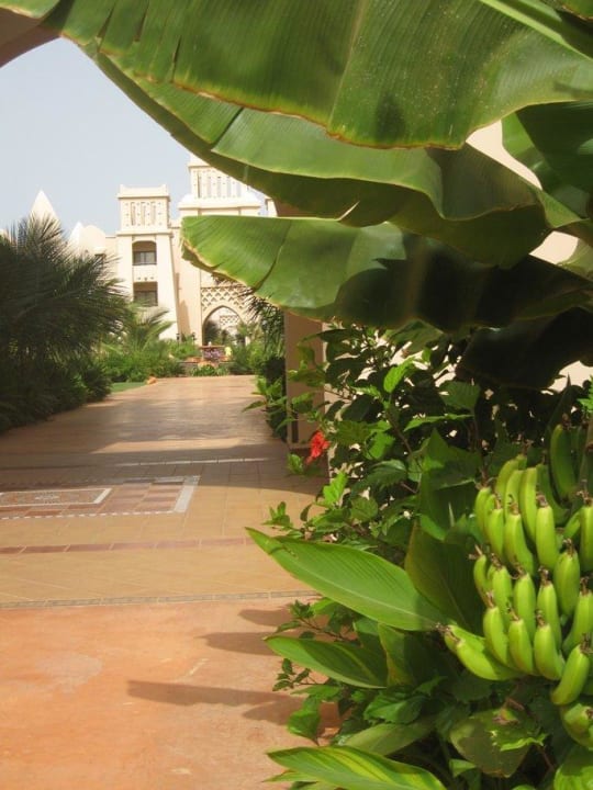 Gepflegter Garten Hotel Riu Touareg