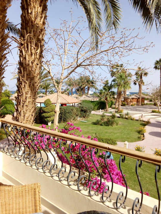 Zimmer Lotus Bay Beach Resort