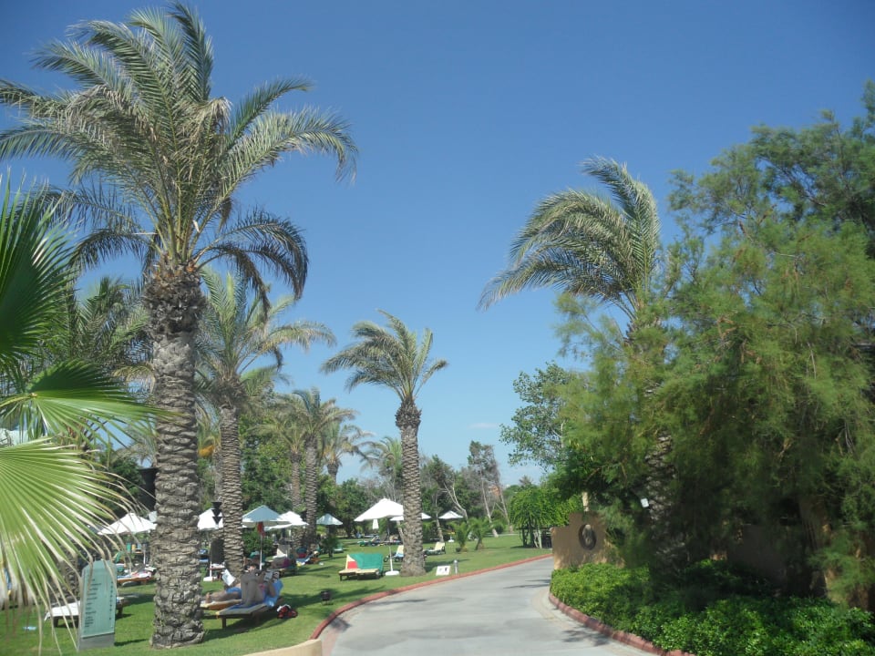 Einfach zum Genießen Asteria Family Belek