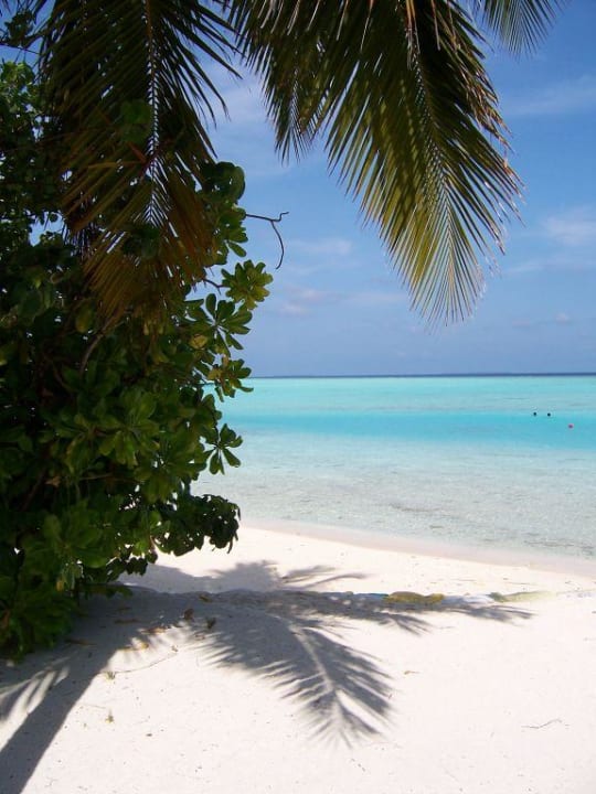 Strand Sun Siyam Vilu Reef