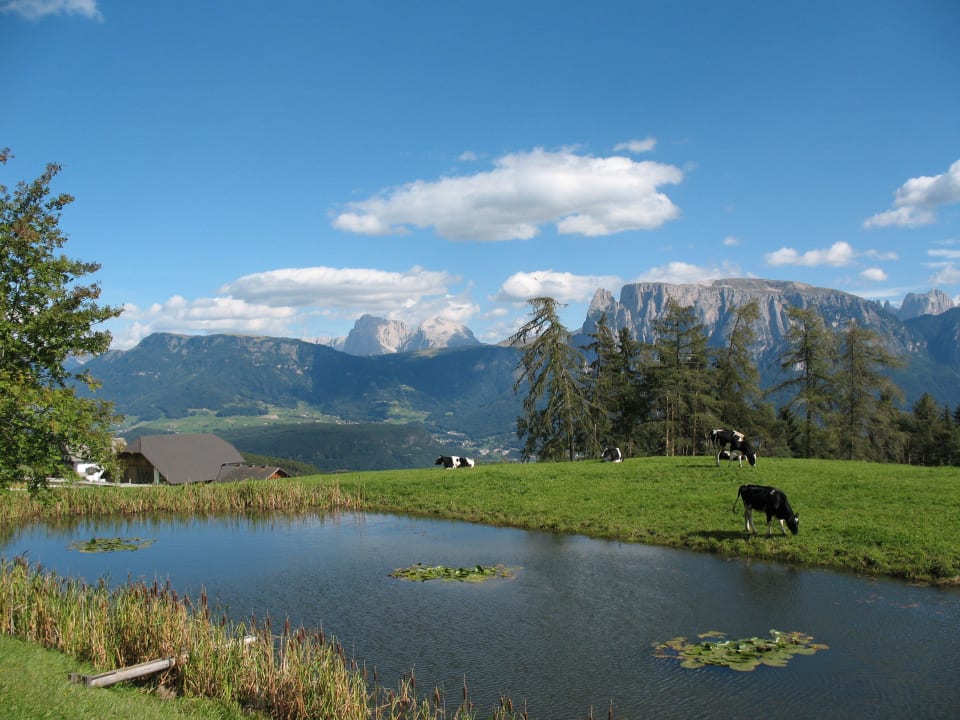 Seerosenteich  mit herrlichem Ausblick Unterpfaffstallhof