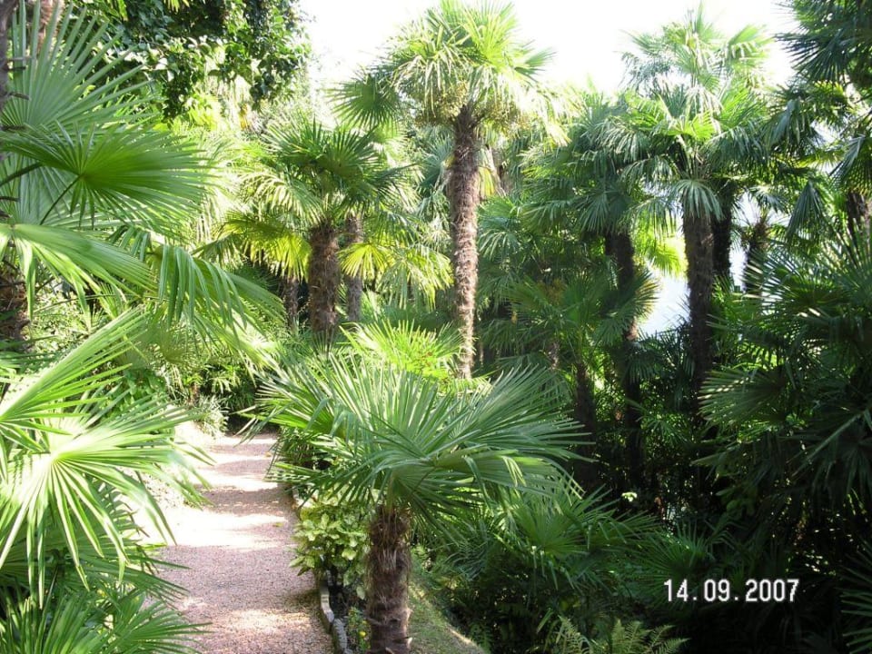 Gartenanlage Hotel Carlton Villa Moritz Carlton Hotel Villa Moritz