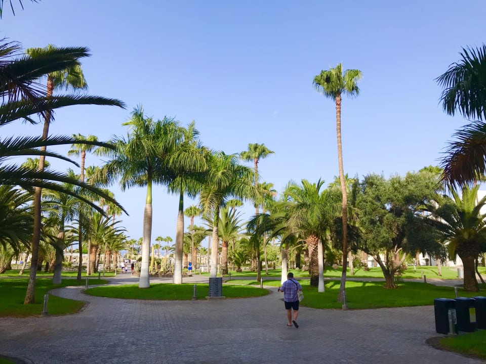 Gartenanlage Hotel Riu Gran Canaria
