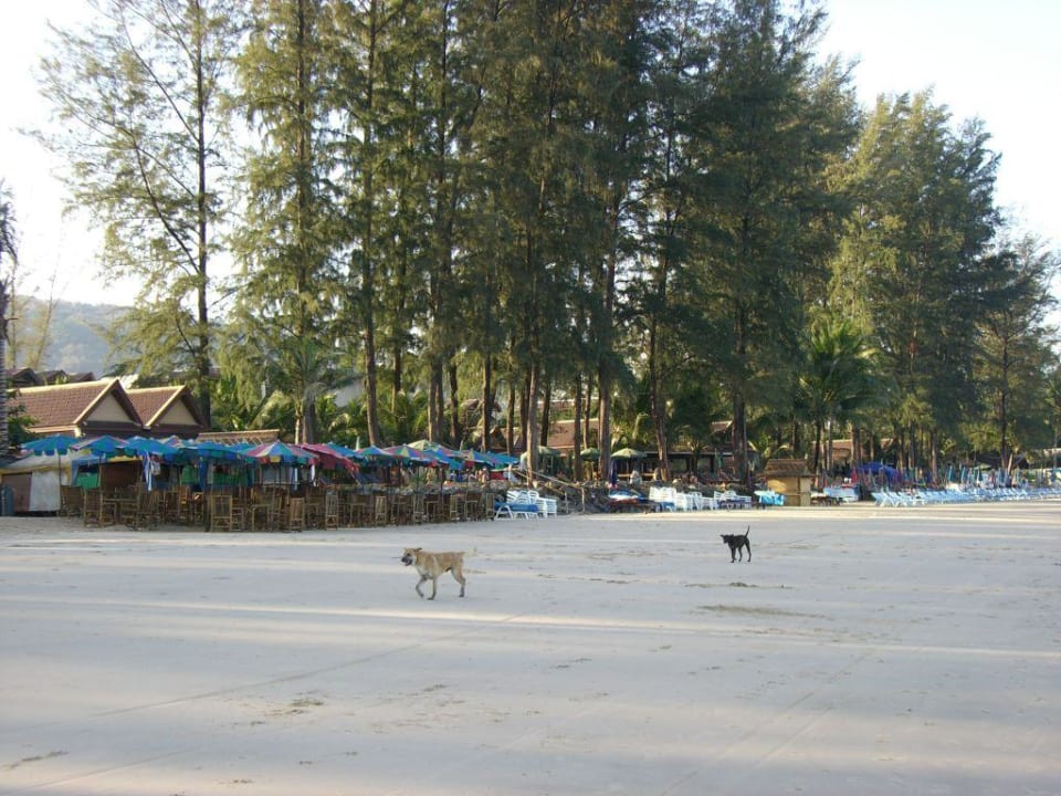 Strandkneipe Bang Tao Beach Best Western Premier Bangtao Beach Resort & Spa