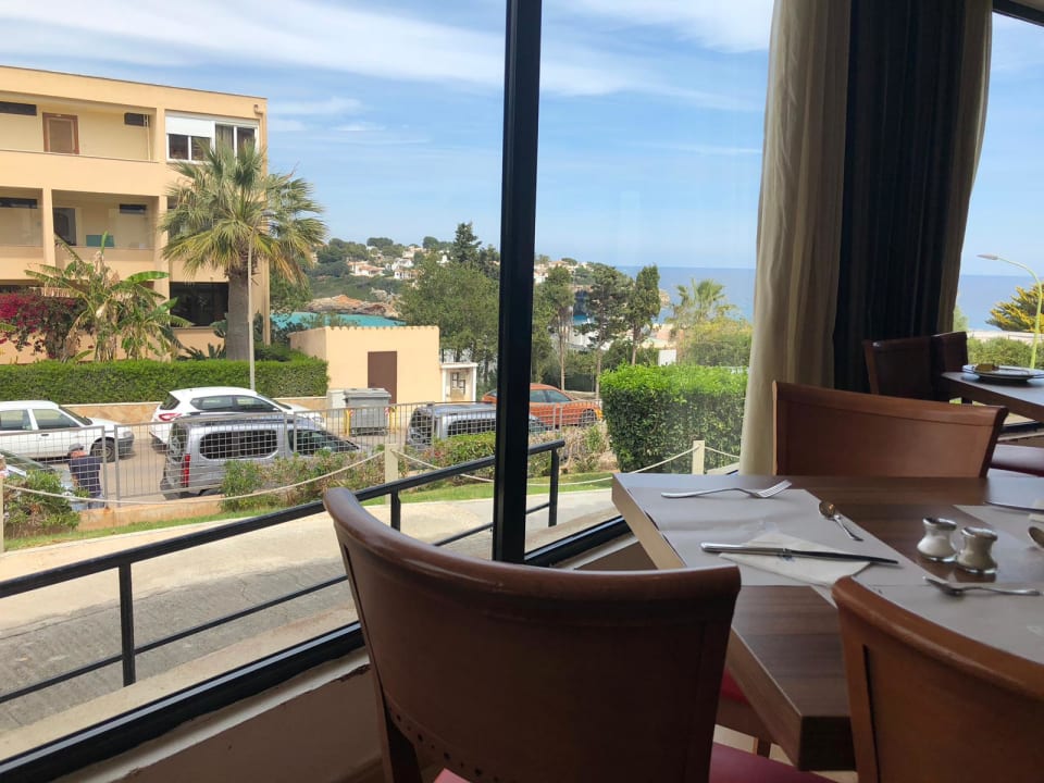 Gastro blau punta reina