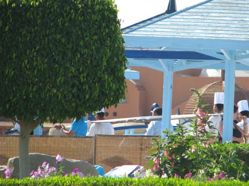 Около детского бассейна  SUNRISE Royal Makadi Resort