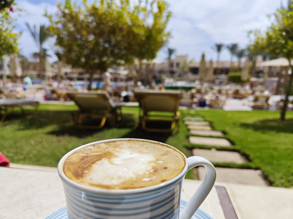 Gastro Hotel JAZ Makadi Star & Spa