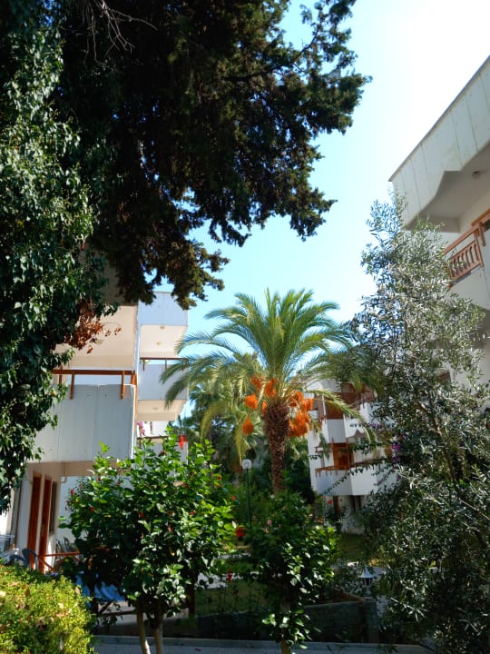 Gartenanlage Hotel Antik