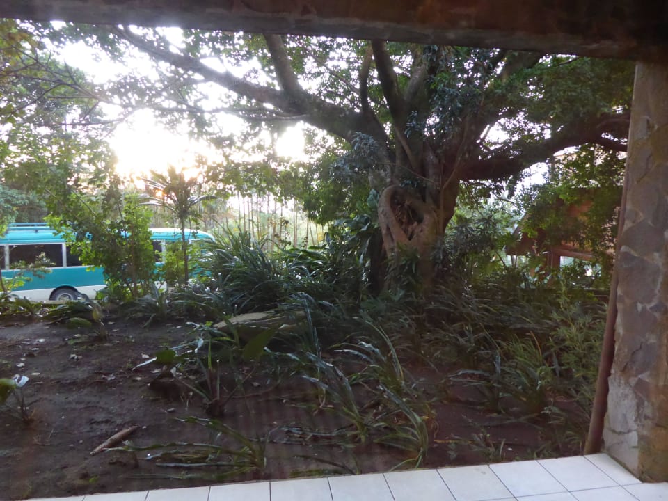 Blick vors Haus Hotel Heliconia