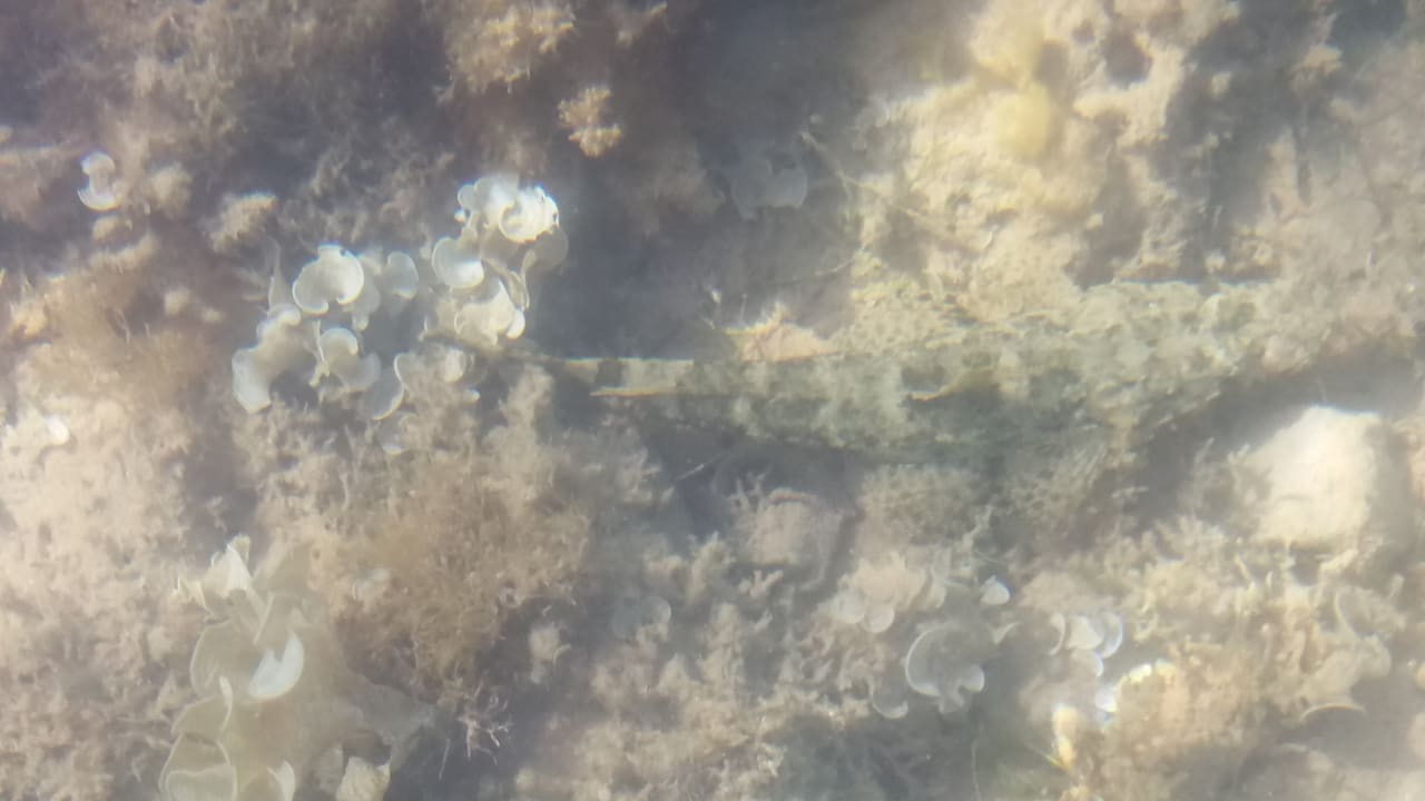 Strand Menaville Safaga