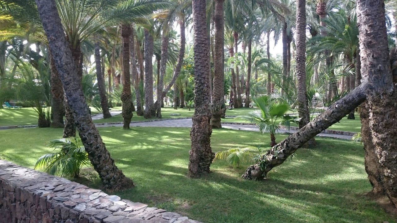 Blick vom Balkon Hotel Riu Palace Oasis