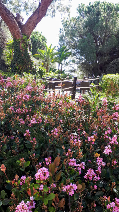 Gartenanlage PortoBay Falésia