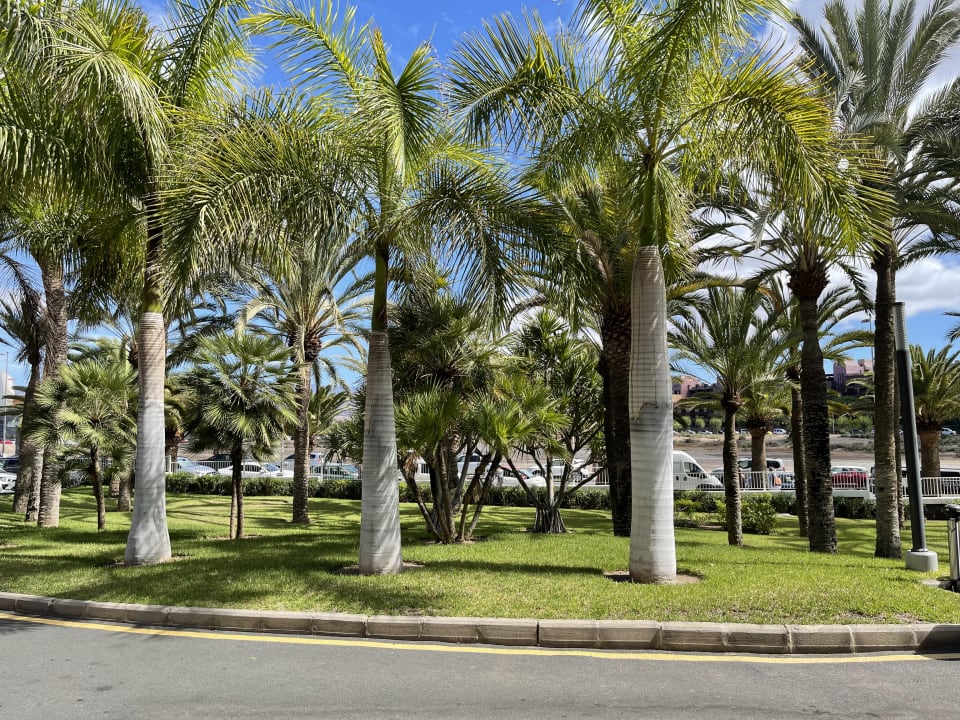 Gartenanlage Hotel Riu Palace Meloneras