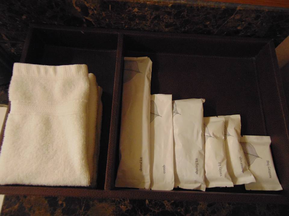 Zimmer Hotel The Westin Chennai Velachery