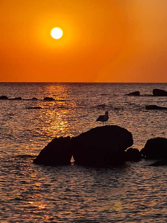 Strand Pension Victoria