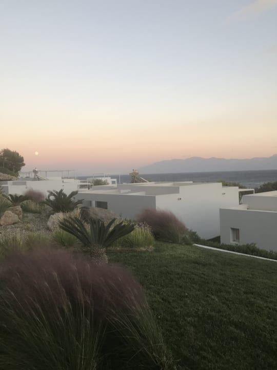 Ausblick Dimitra Beach Hotel & Suites