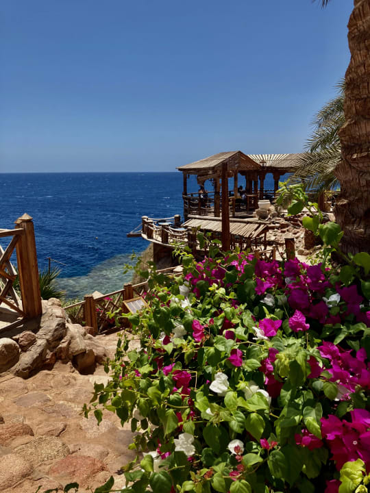 Strand Pickalbatros Golf Beach Resort