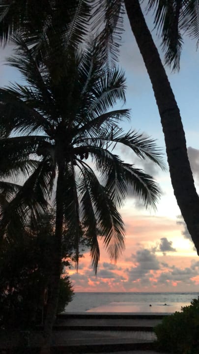 Strand Summer Island Maldives