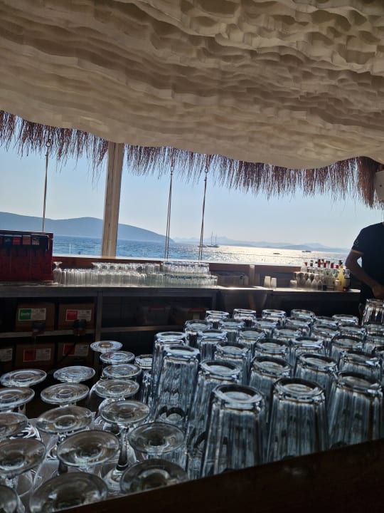 Gastro TUI MAGIC LIFE Bodrum - Adult Only (16+)