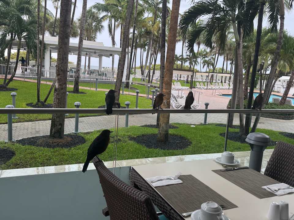 Gastro Hotel Riu Plaza Miami Beach