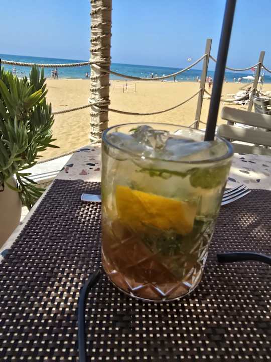 Strand Seashell Vega