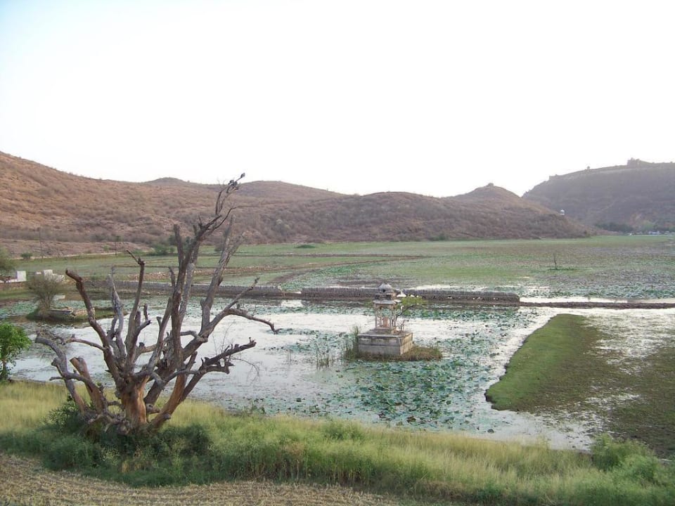 See an der Hotelanlage The Ummaid Bagh Resorts