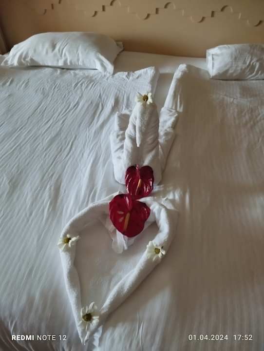 Zimmer Spice Hotel & Spa