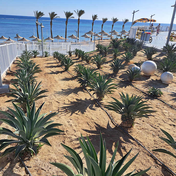 Gartenanlage Pickalbatros Villaggio Resort - Portofino