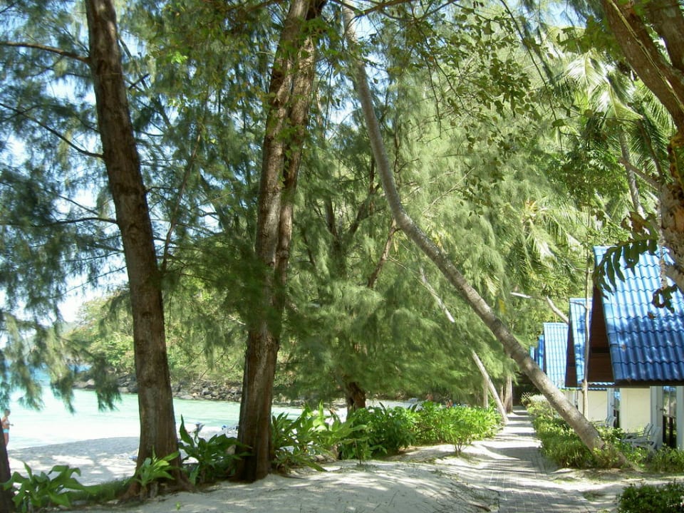 Bungalows Hotel Coral Island Resort