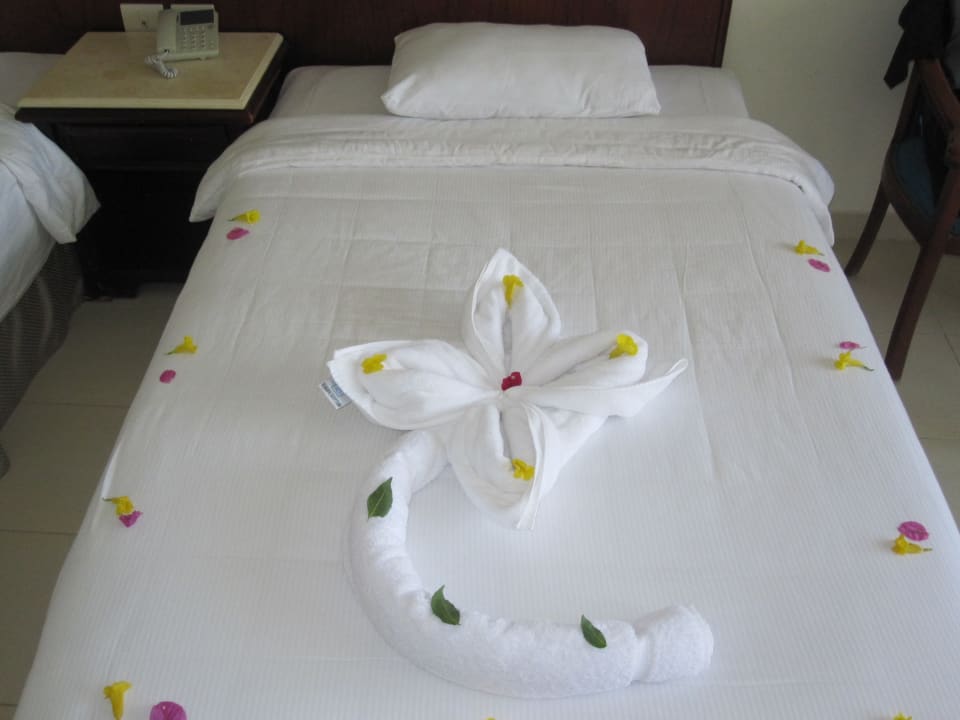 Zimmer Serenity Alpha Beach