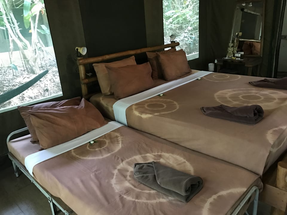 Zimmer Elephant Hills