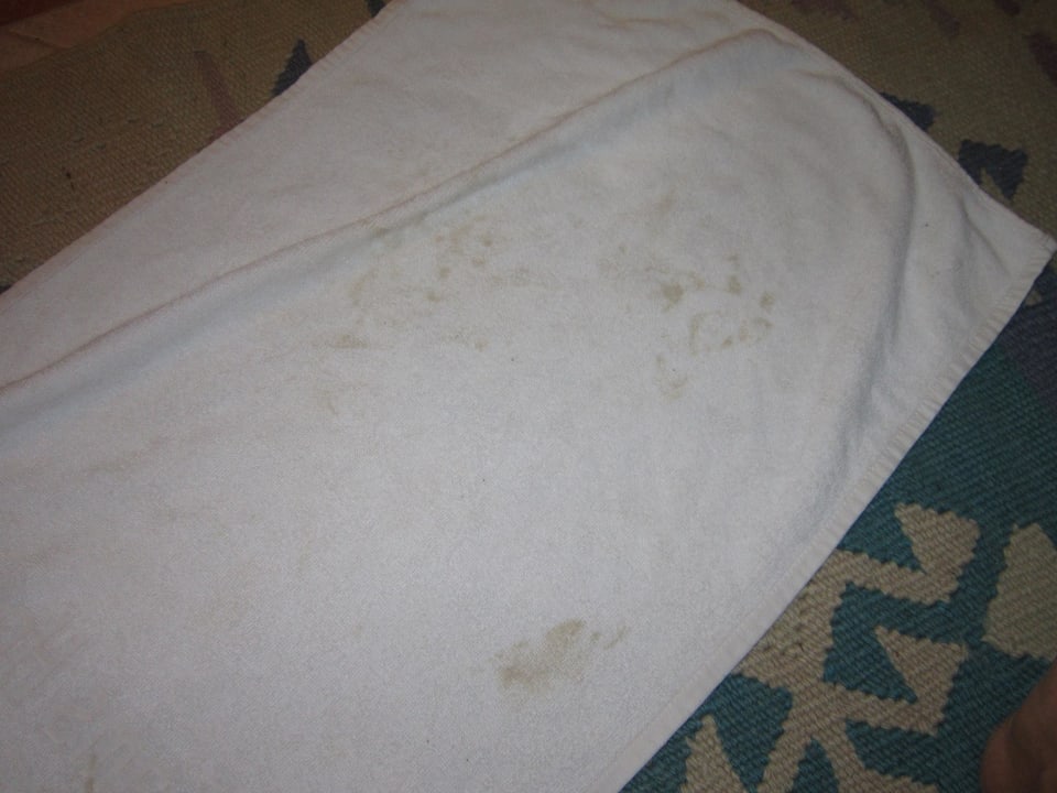 Neu aufgehängtes Handtuch Shams Alam Beach Resort