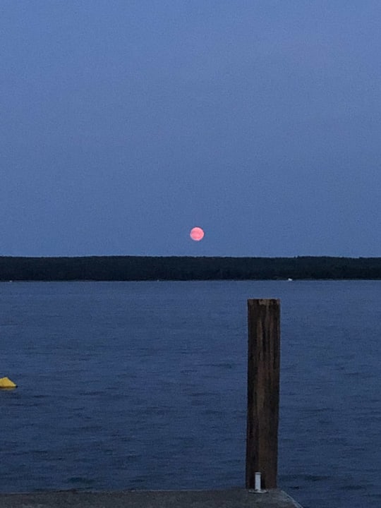 Ausblick Aparthotel Am See