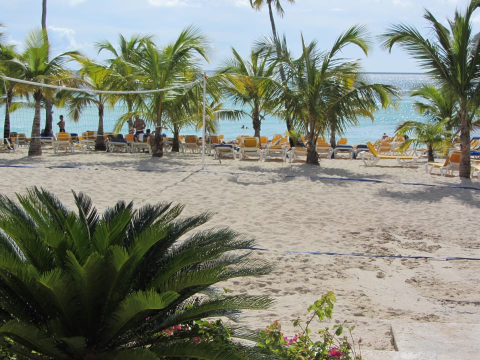 Strandabschnitt Hotel Viva Dominicus Palace by Wyndham-All Inclusive Resort