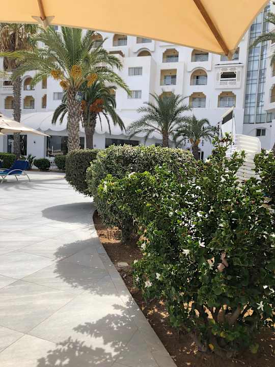 Gartenanlage Hotel Marhaba Palace