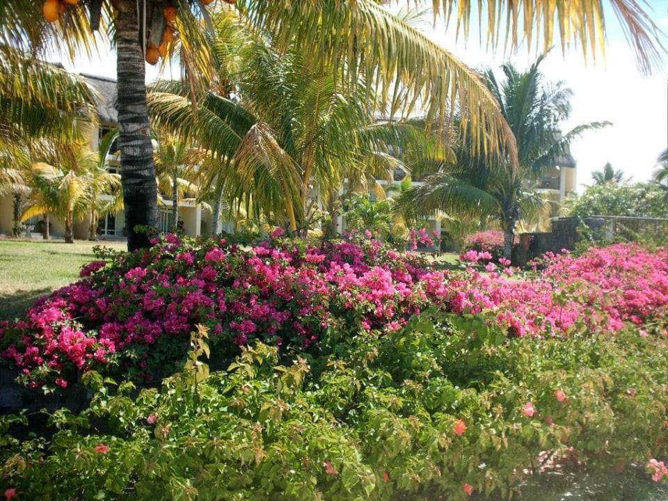 Sehr gepflegte Gartenanlage Sands Suites Resort & Spa