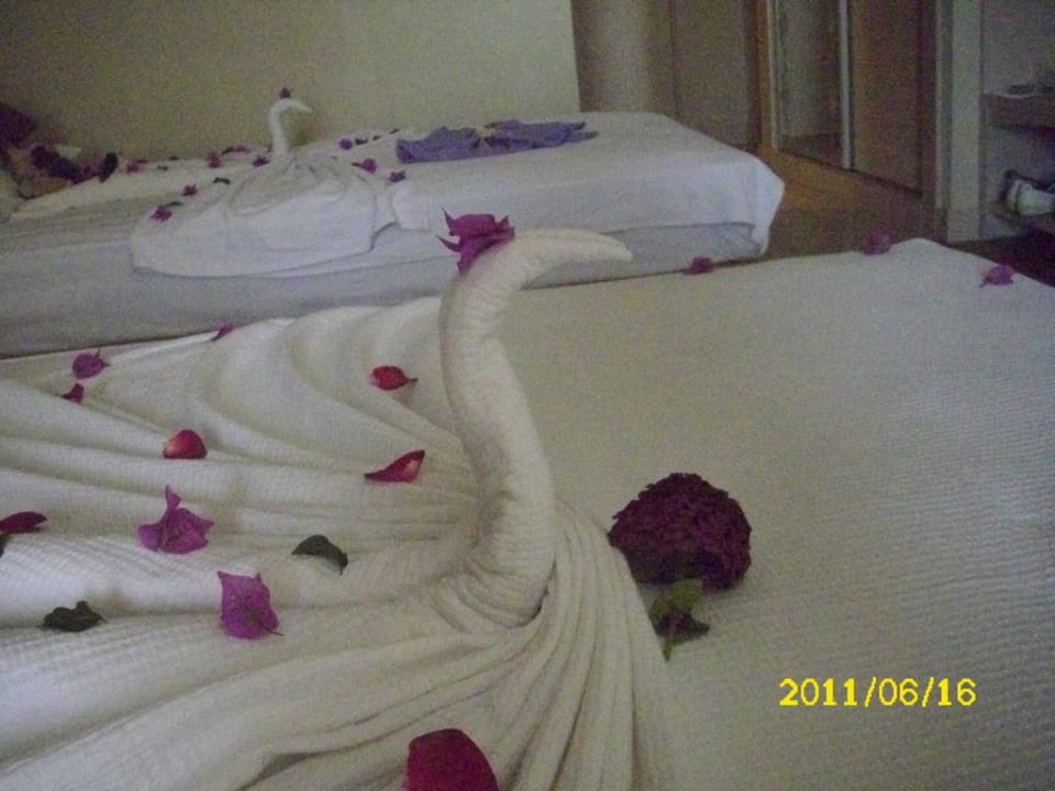 Schick Adalya Resort & Spa - Adults Only