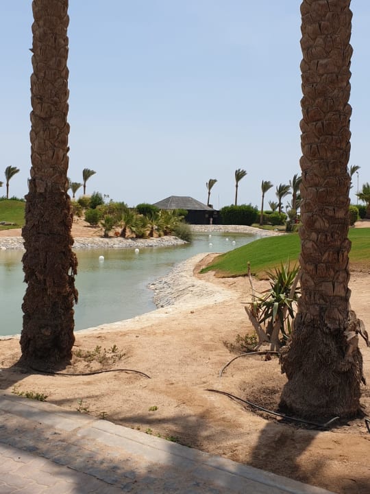 Gartenanlage Steigenberger Aqua Magic