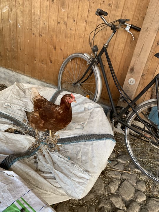 Sonstiges Erlebnisbauernhof Familie Wehrhoff