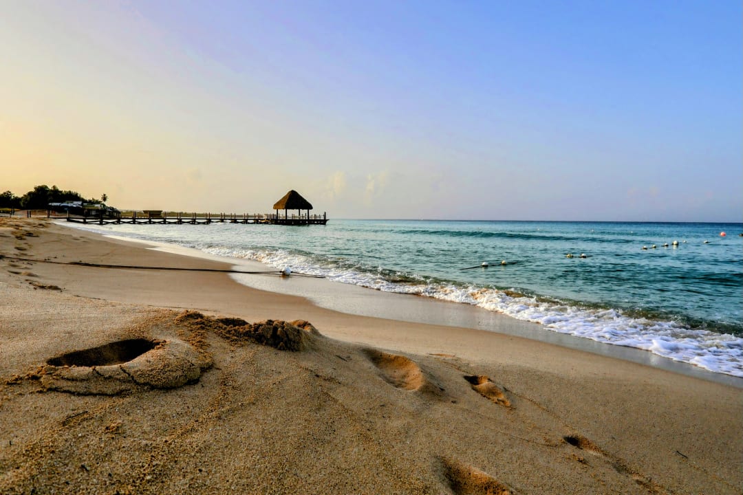 Strand Catalonia Royal La Romana - Adults only