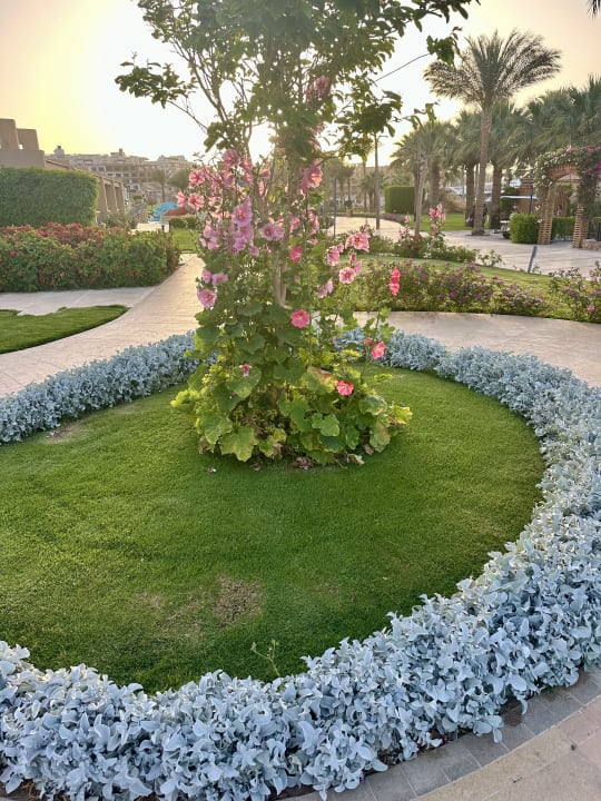 Gartenanlage Hilton Hurghada Plaza