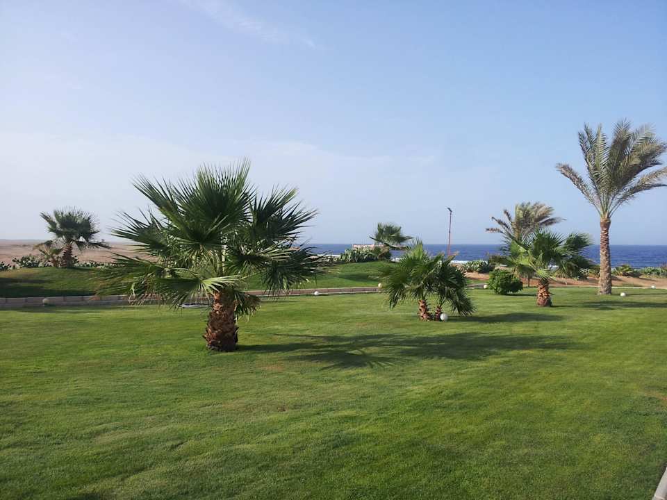 Zieleń Three Corners Sea Beach Resort