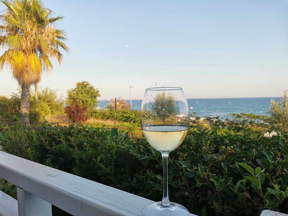 Gastro Club Sidelya Hotel