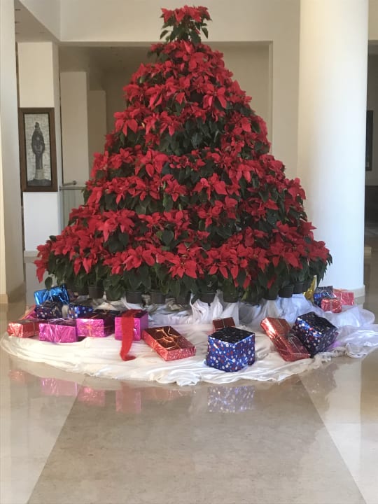 Sonstiges Cleopatra Luxury Resort Makadi Bay