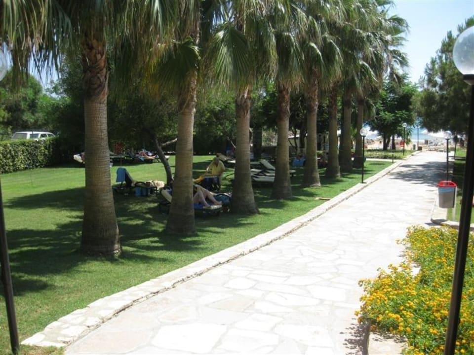 Hotel-Garten Arum Barut Collection